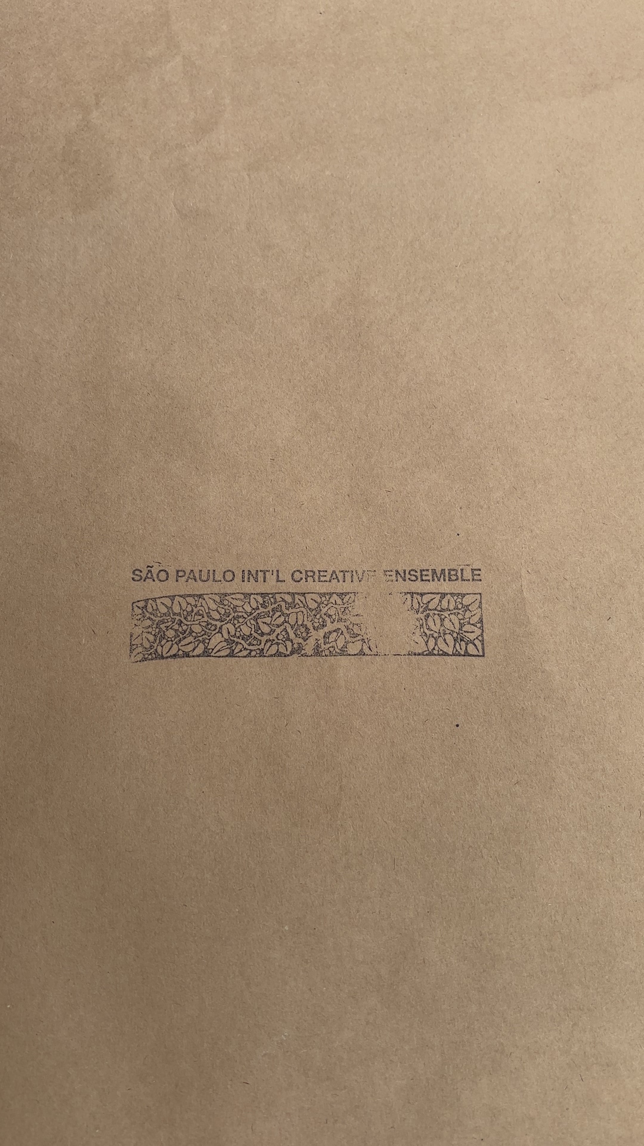 'SPICE' STEEL CARABINER